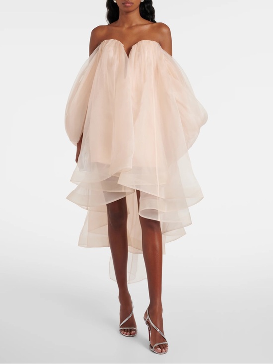 Zimmermann Dresses & Skirts - Zimmermann
Crush silk organza bustier dress